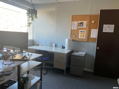 210 S Randolph St, Macomb, IL 61455 - photo 7