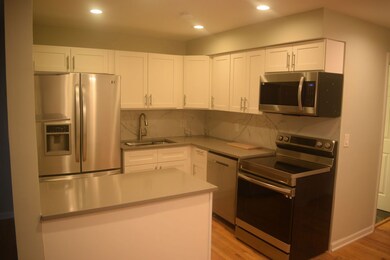 4753 25th Ave unit 19, Schiller Park, IL 60176 - photo 5