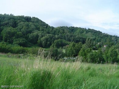 Looking North