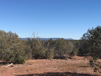 35 Cooks Trail, Ash Fork, AZ 86320 - photo 2