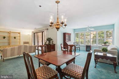 3 Southerly Ct unit 201, Towson, MD 21286 - photo 4