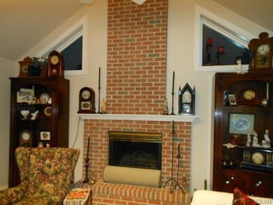 Direct Vent Propane Fireplace in Family Room