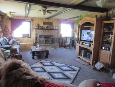 14620 Road 22, Dolores, CO 81323 - photo 6