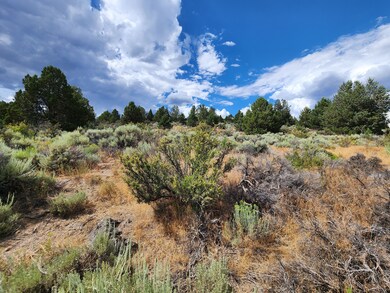 0 Drews Rd unit 25625857, Chiloquin, OR 97639 - photo 6