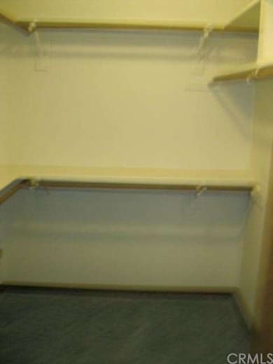 WALK IN CLOSET IN MASTER BEDROOM