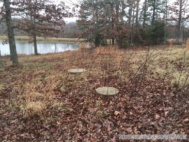 10501 Cedar Ln, Dixon, MO 65459 - photo 7