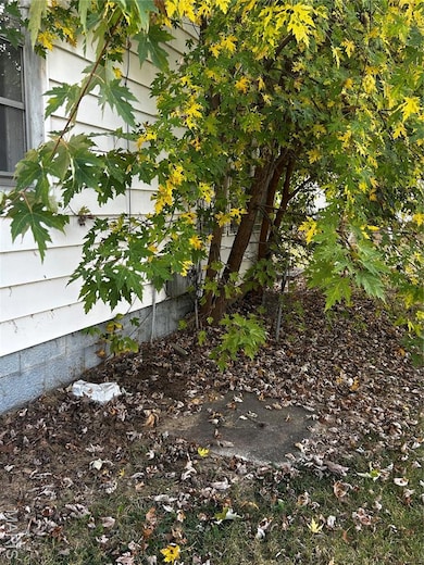 311 N Elm St, Nokomis, IL 62075 - photo 6