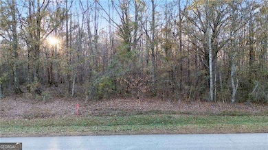 160 Old Sandhill Rd, Carrollton, GA 30116 - photo 2