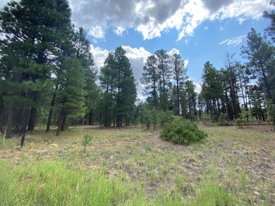 Tall Pines