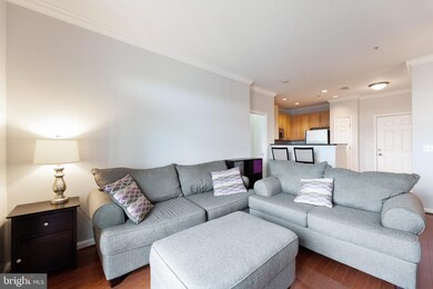 The Grove At Arlington unit 1402, Arlington, VA 22206 - photo 5