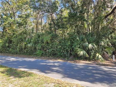 835 N Gardenview Terrace, Crystal River, FL 34429 - photo 3