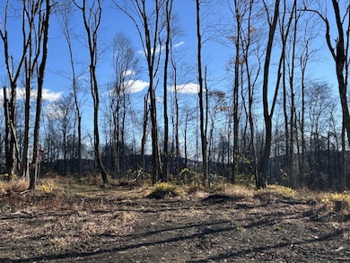 TBD Spruce Run Rd, Terra Alta, WV 26764 - photo 5