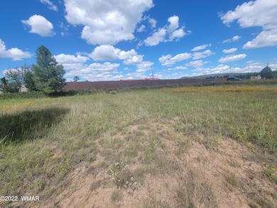 2277 Meadow Ln, Overgaard, AZ 85933 - photo 3