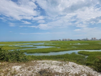 0 Jacks Circle Rd, North Myrtle Beach, SC 29582 - photo 5