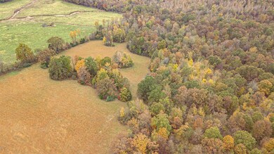 480 County Road 480, Poplar Bluff, MO 63901 - photo 7