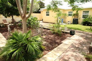 Corner of Backyard