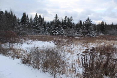 15 Mary Elizabeth Ln unit 15, Lancaster, NH 03584 - photo 3