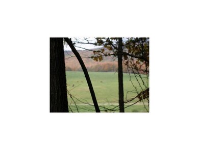 15750 E Black Oak Rd, Fayetteville, AR 72701 - photo 5