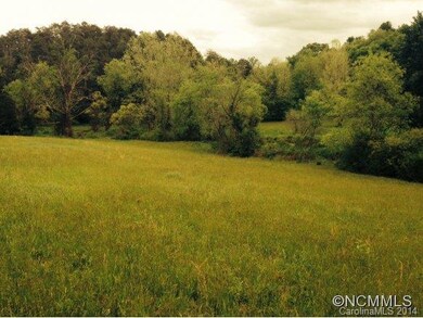 136 Bridges Family Dr, Asheville, NC 28806 - photo 5