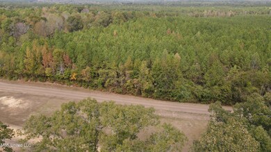 dji_fly_20231022_120240_525_169799418317