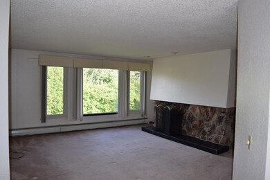 Living Room / Fireplace