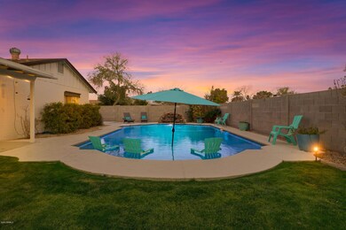 Backyard with Sparkling Pool
