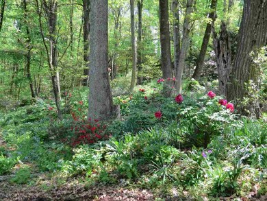 TBD Windsor Rd, Harrisonburg, VA 22801 - photo 2