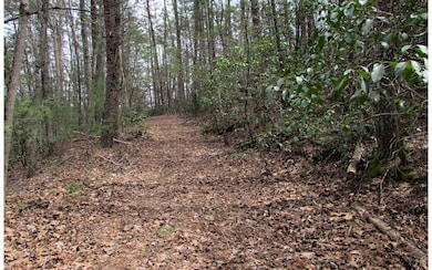 Additional View