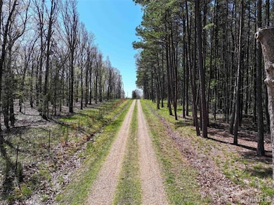 unlisted-address, Cherryville, MO 65446 - photo 3