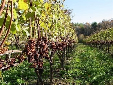 335 Old Fall River Rd, Dartmouth, MA 02747 - photo 6