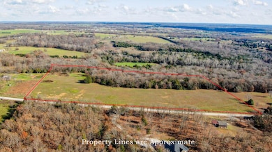 Tract D Potters Rd, Buffalo, MO 65622 - photo 5