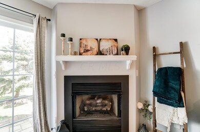 GAS FIREPLACE