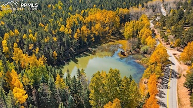 2558 County Road 28, Woodland Park, CO 80863 - photo 3