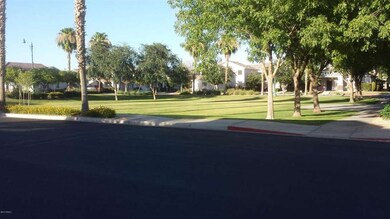 GORGEOUS PARKS