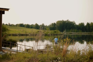Bluffton Rd, Fort Gaines, GA 39851 - photo 4