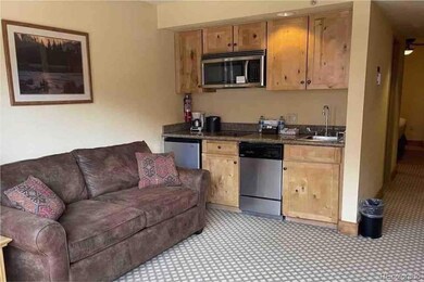 6 Emmons Rd unit 269, Crested Butte, CO 81225 - photo 6