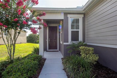 30423 Lipizzan Terrace, Mount Dora, FL 32757 - photo 2