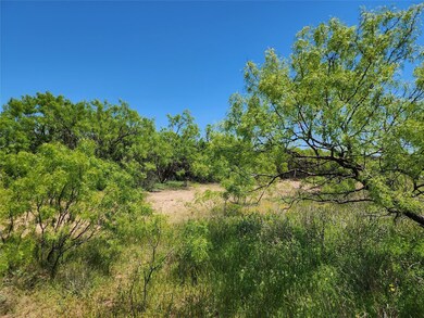 View of local wilderness