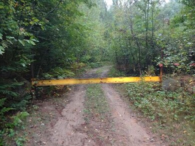 NEAR Honey Rd, Tomahawk, WI 54487 - photo 3