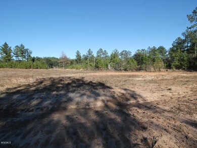 117 Hafner Ln, Lucedale, MS 39452 - photo 7