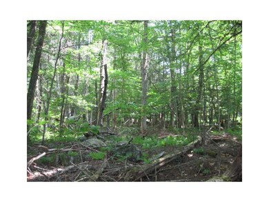 Land/Lot.