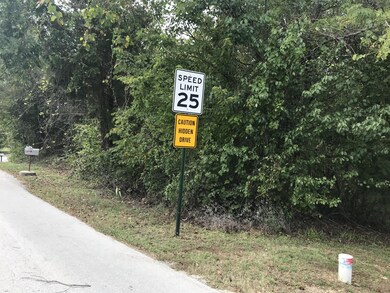 22 Skyline Dr, Kimberling City, MO 65686 - photo 5