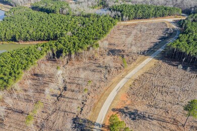 2041 Nathania Farm Rd, Lincolnton, GA 30817 - photo 5