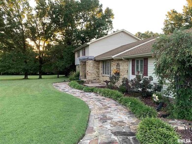 1610 Mchaney Rd, Harrisburg, IL 62946 - photo 6