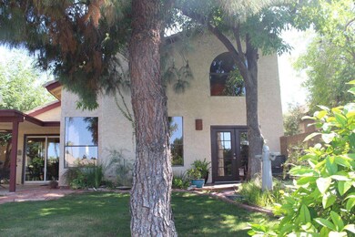 Back View