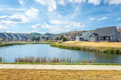 384 Willow Grove Ct, Ringgold, GA 30736 - photo 7