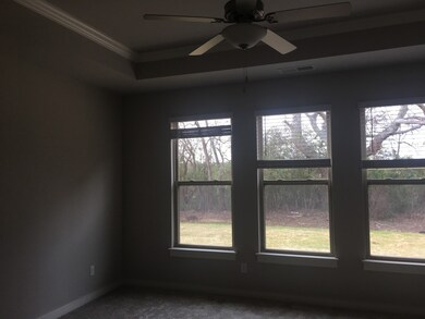 Not actual home, spacious master bedroom with lots of windows, a tray ceiling with crown molding and a ceiling fan facing back yard.