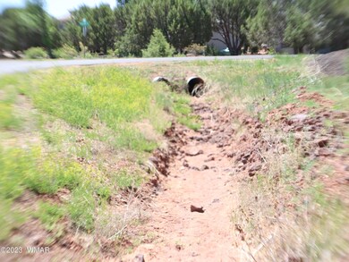 Culverts at road