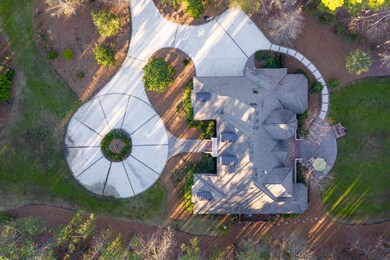 Birds Eye View