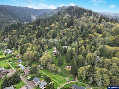 0 Lot Pioneer St unit 835915, Tidewater, OR 97330 - photo 3